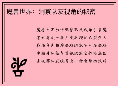 魔兽世界：洞察队友视角的秘密
