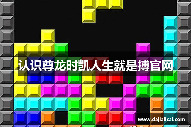 认识尊龙时凯人生就是搏官网