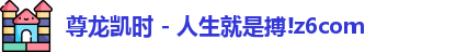尊龙时凯人生就是搏官网